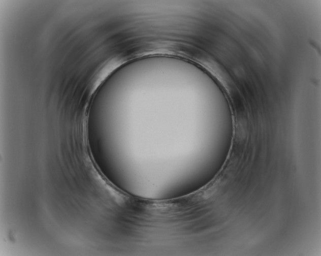 X0000097851290200803141209