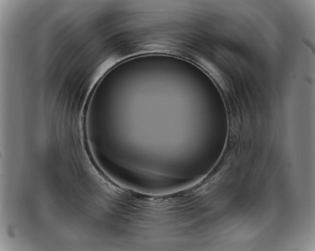 X0000097851291200803141209