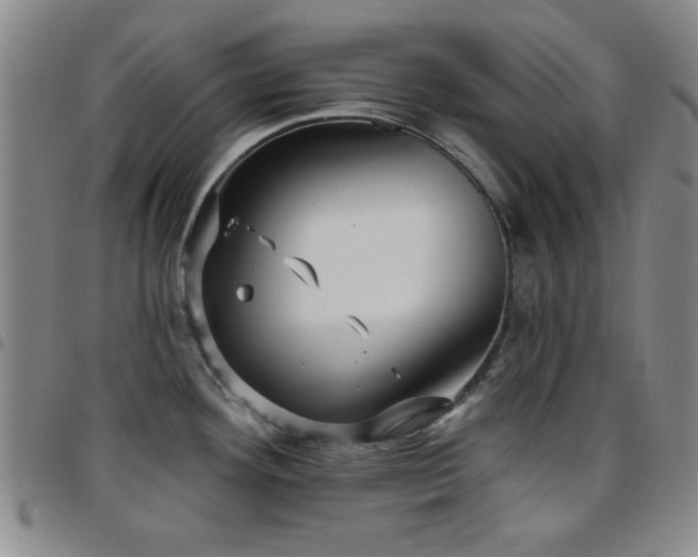 X0000097851292200803141209