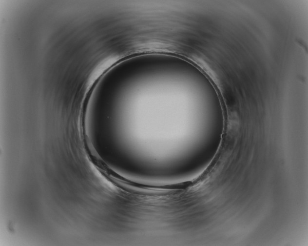 X0000097851293200803141209