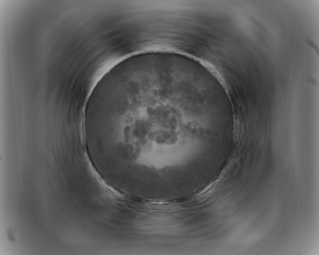 X0000097851295200803141209