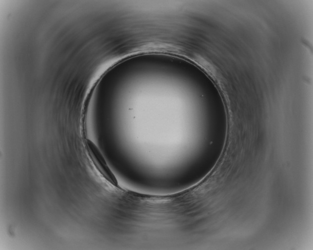X0000097851296200803141209