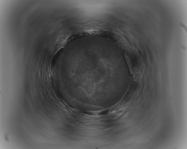 X0000097851298200803141208