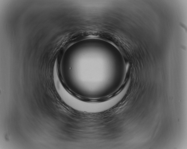 X0000097851299200803141208