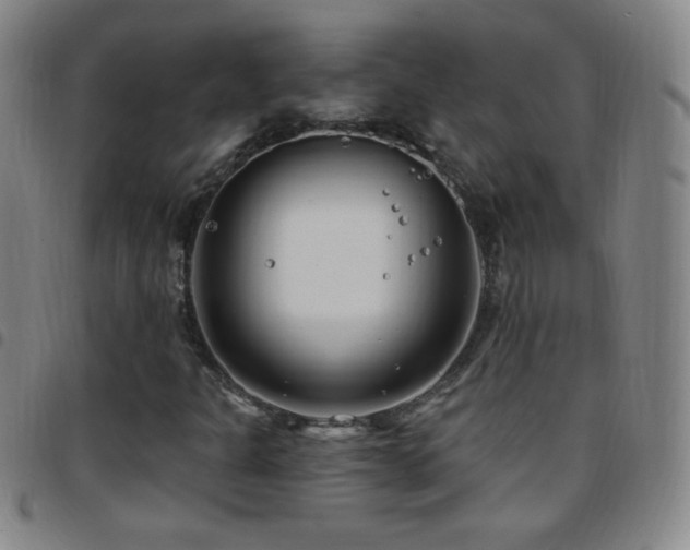 X0000097851301200803141208