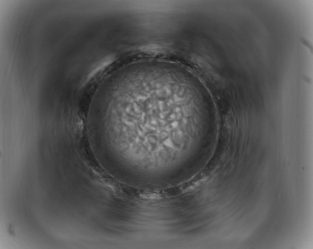 X0000097851302200803141208