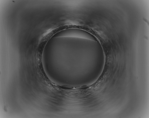 X0000097851303200803141209