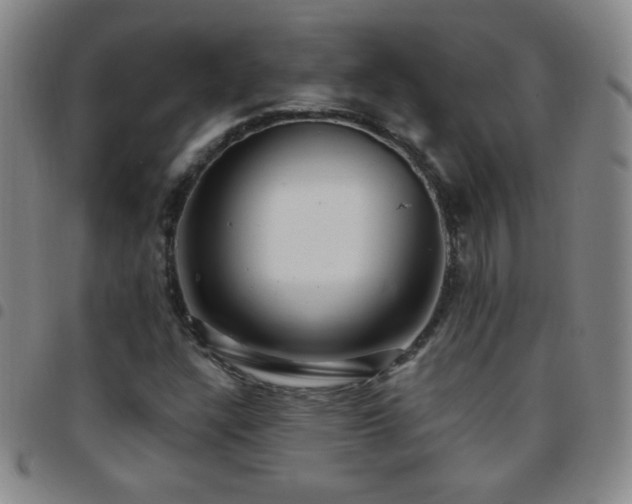 X0000097851304200803141209