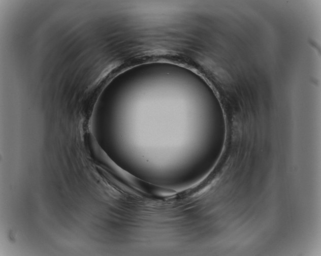 X0000097851305200803141209