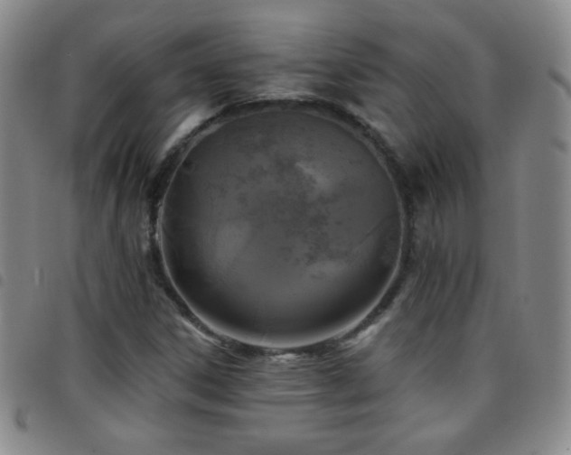 X0000097851306200803141209