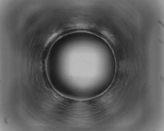 X0000097851307200803141209