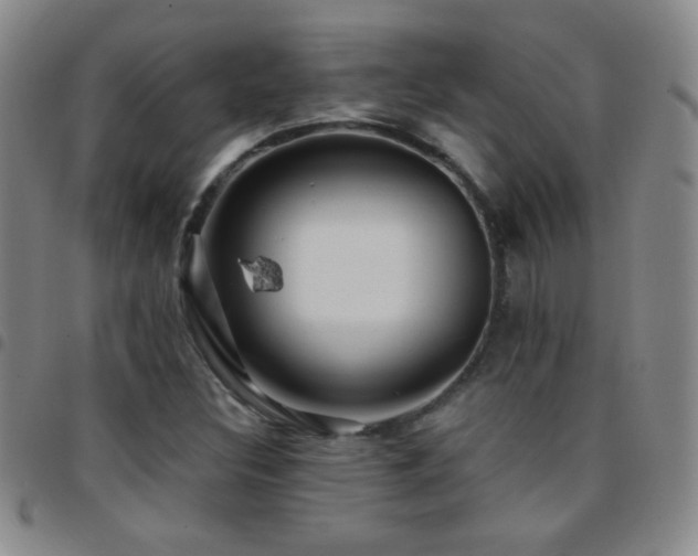 X0000097851308200803141209
