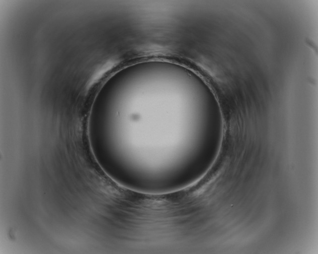 X0000097851309200803141209