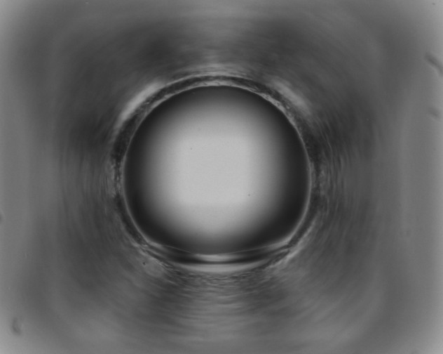X0000097851310200803141209