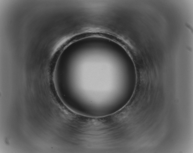 X0000097851311200803141209