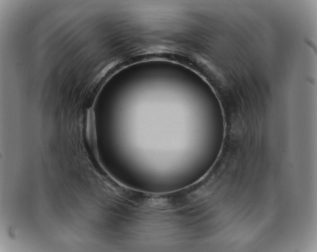 X0000097851313200803141209