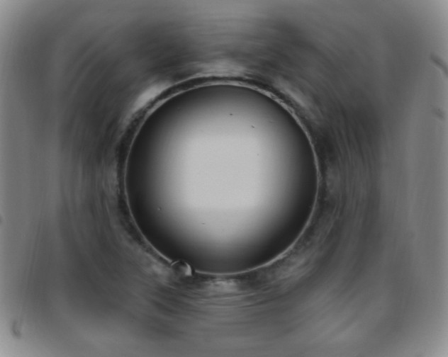 X0000097851315200803141209