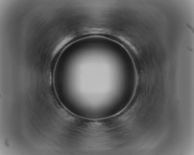 X0000097851317200803141209