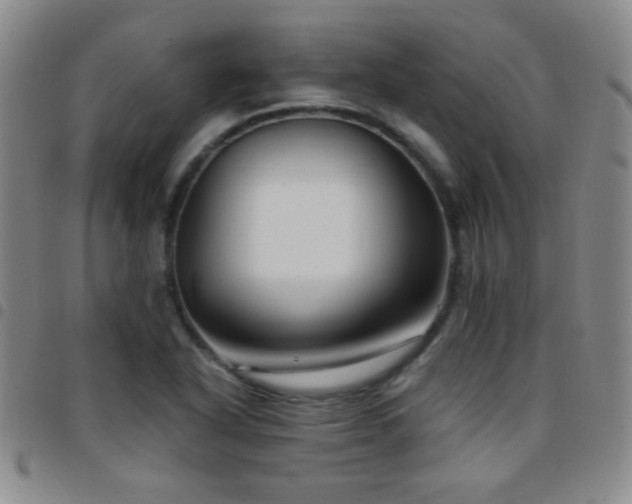 X0000097851318200803141209