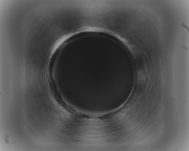 X0000097851319200803141209