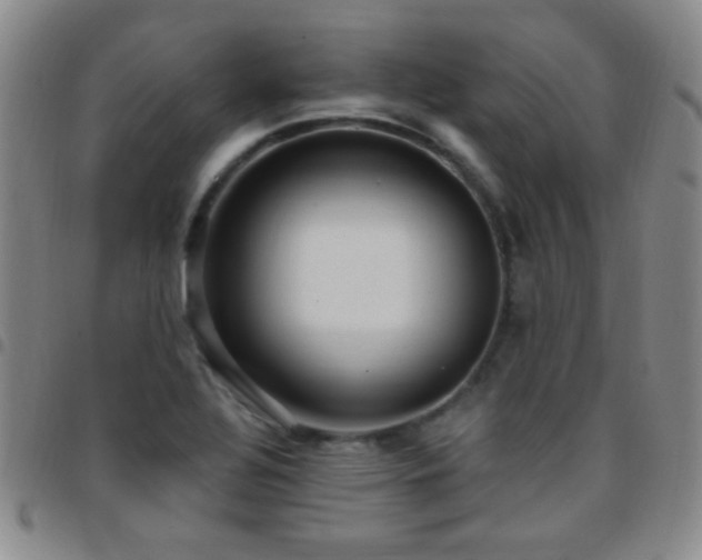 X0000097851320200803141209