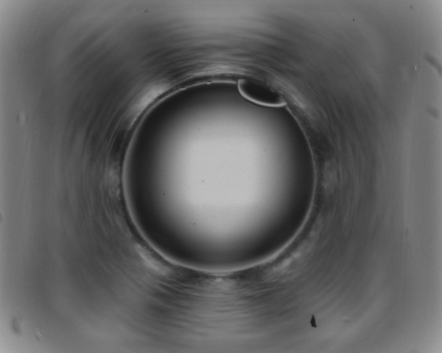 X0000097851321200803141209