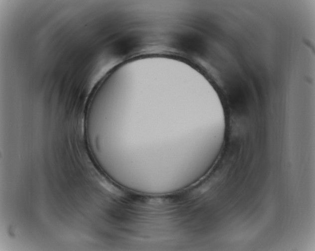 X0000097851322200803141209