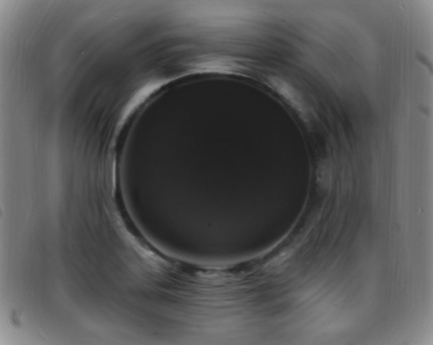 X0000097851323200803141209