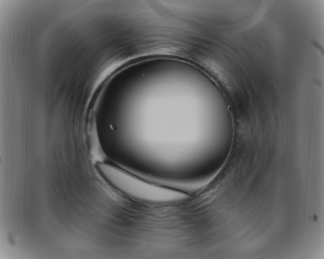 X0000097851324200803141209