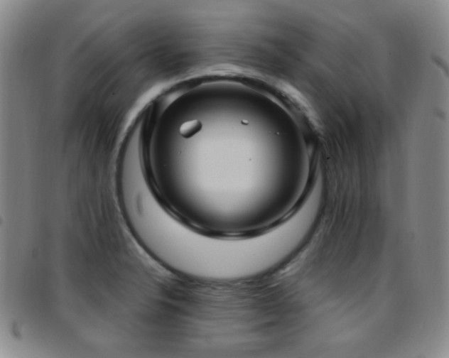 X0000097851326200803141209