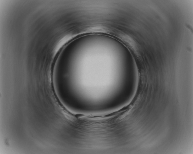 X0000097851328200803141209
