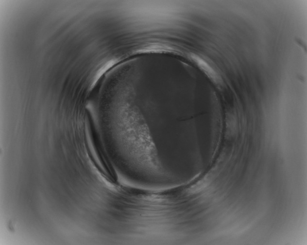 X0000097851329200803141209
