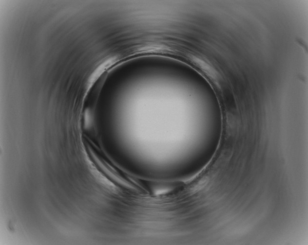 X0000097851330200803141209