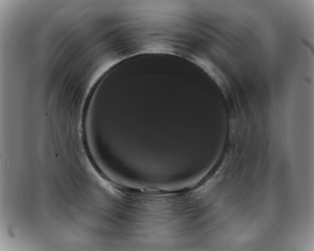 X0000097851331200803141209