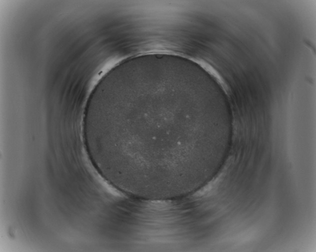 X0000097851333200803141209