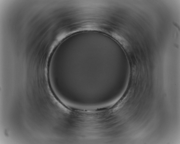 X0000097851334200803141209