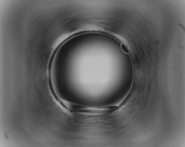 X0000097851335200803141209