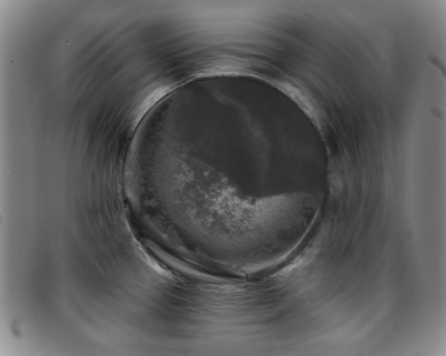 X0000097851337200803141209