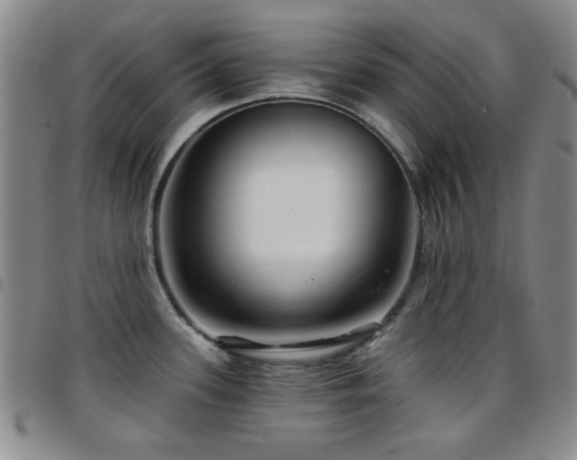 X0000097851339200803141209