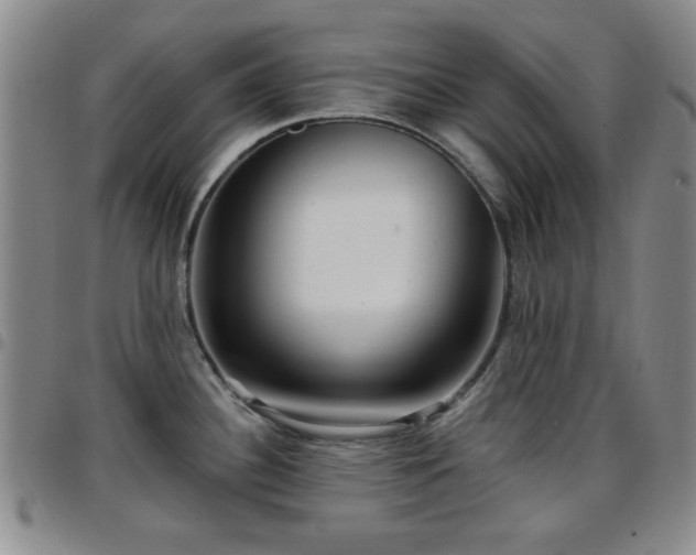 X0000097851340200803141209