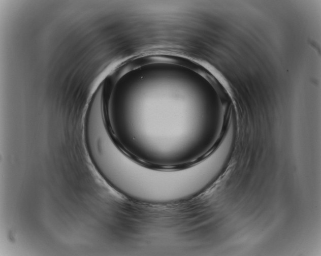 X0000097851341200803141209