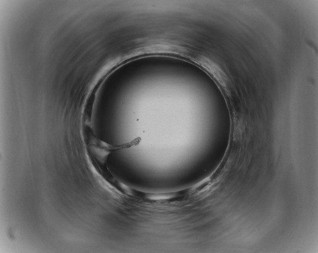 X0000097851342200803141209