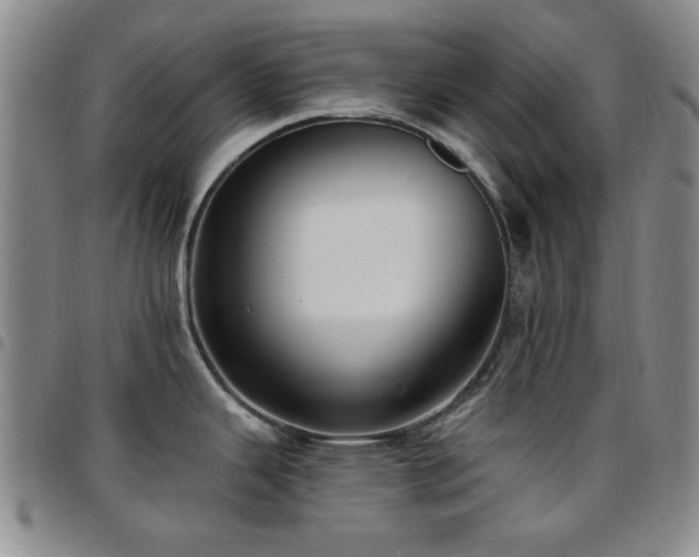 X0000097851343200803141209