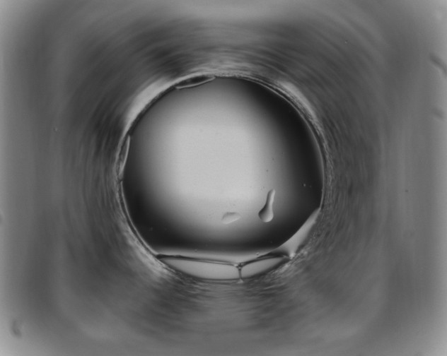 X0000097851344200803141209