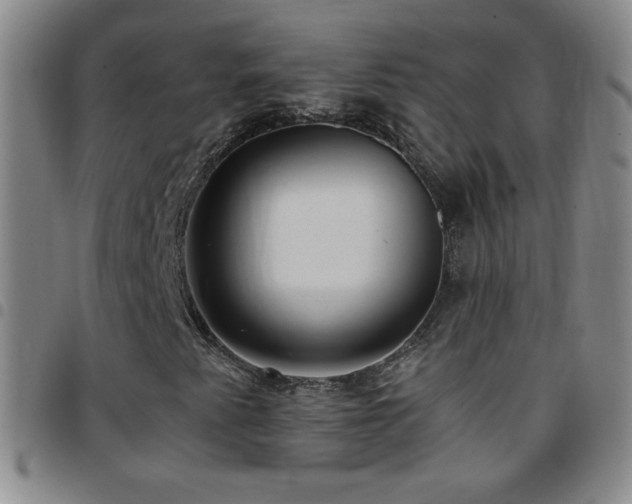 X0000097851345200803141208