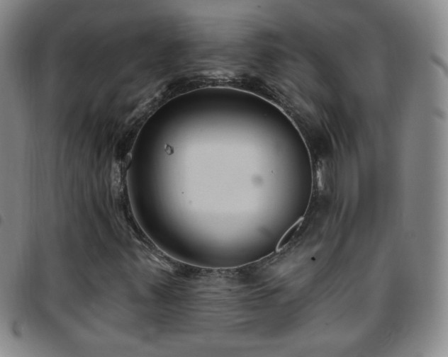 X0000097851347200803141208