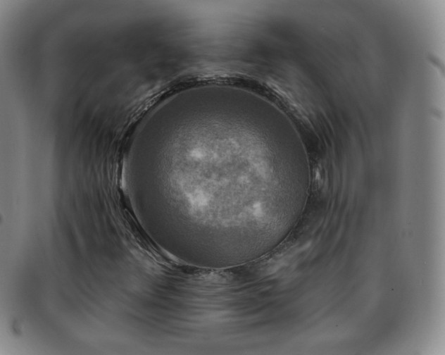 X0000097851348200803141208