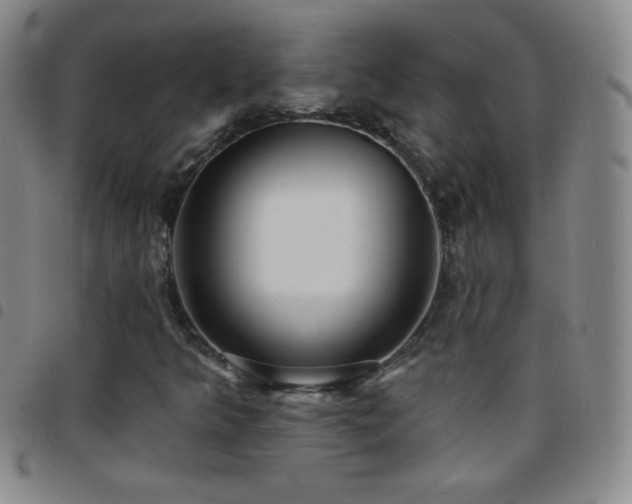 X0000097851349200803141208