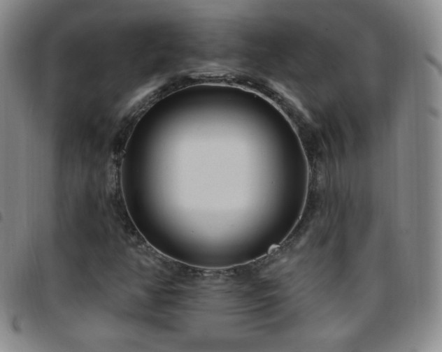 X0000097851350200803141208