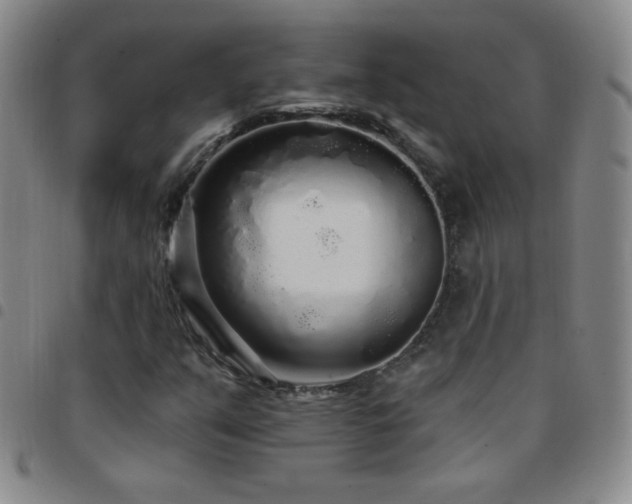 X0000097851351200803141208